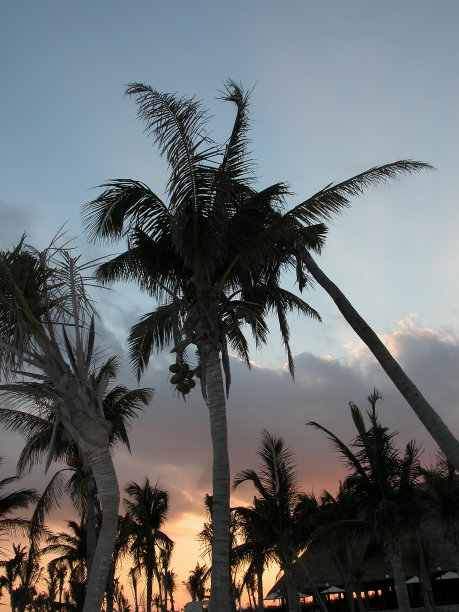 海滩黄昏图片下载