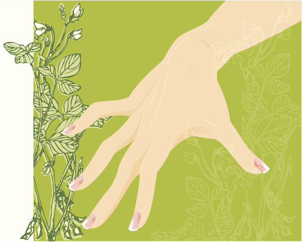 手工和大豆背景图片下载