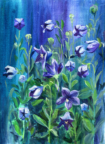 蓝色的花图片下载