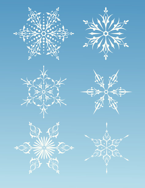 异国情调的雪花向量图片下载