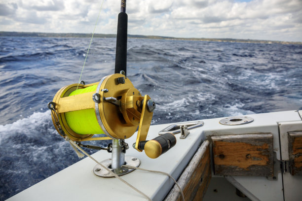 钓鱼卷图片下载