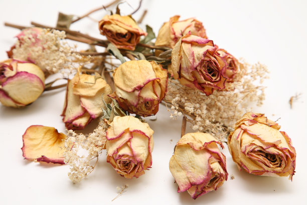 玫瑰花束图片下载