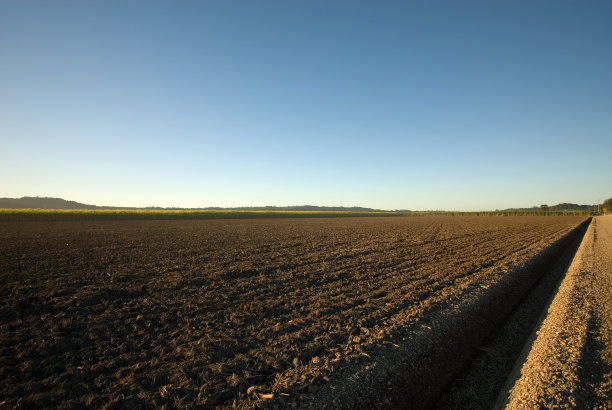 甘蔗农场图片下载