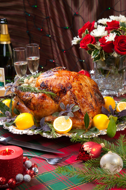 圣诞大餐土耳其图片下载