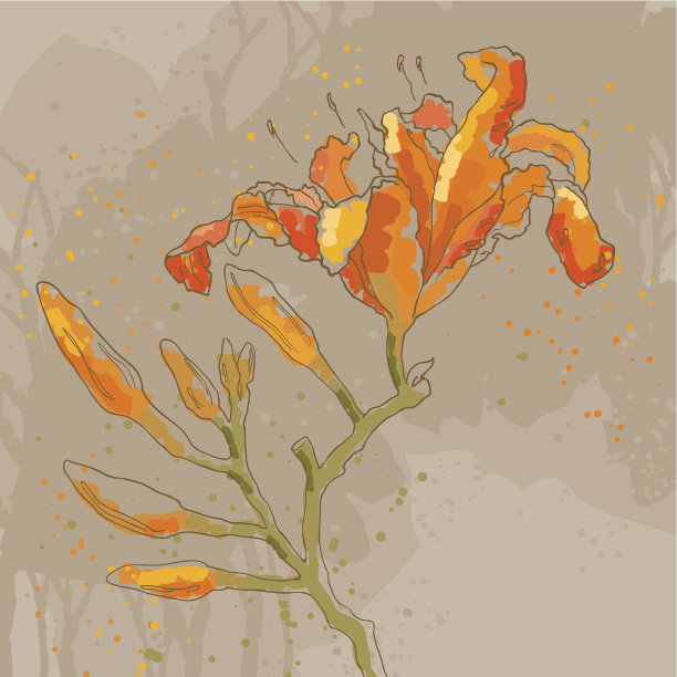 浪漫向量背景与百合图片下载