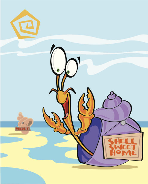 寄居蟹图片下载