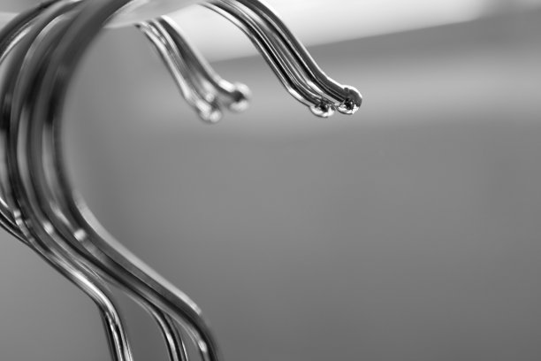 悬钩子图片下载