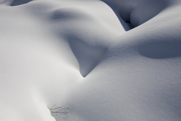 雪的梦图片下载