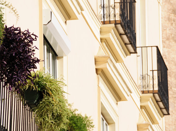 植物和阳台图片下载