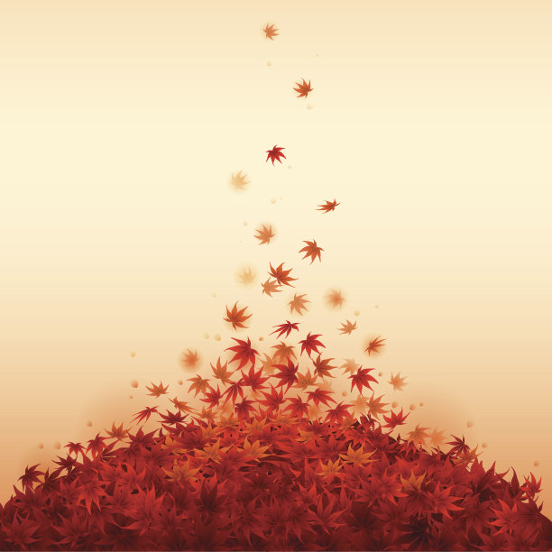 秋天的树叶图片下载