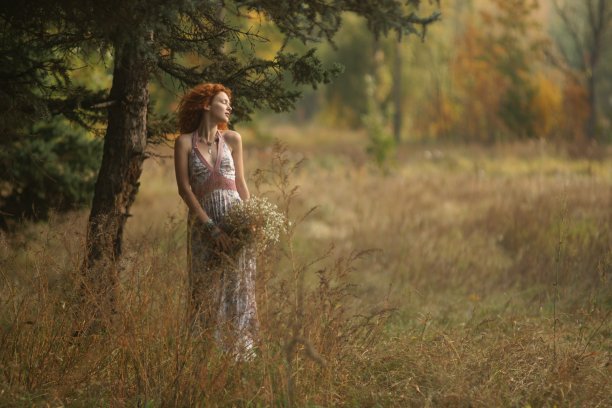 秋天的故事图片下载