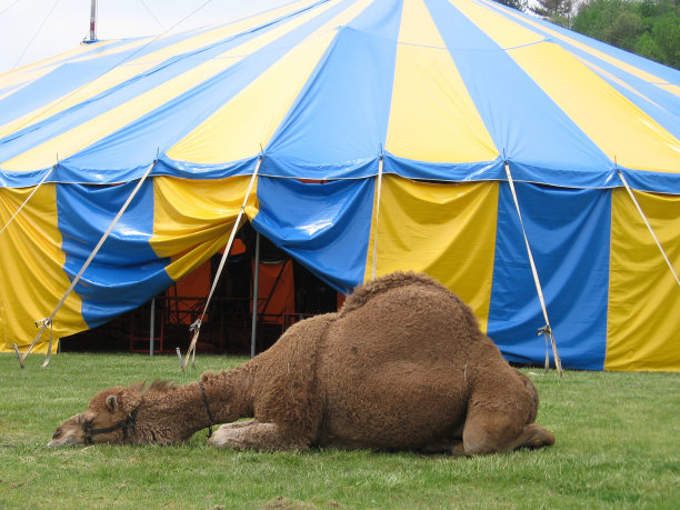 工作时睡觉图片下载