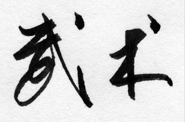 中国武术脚本图片下载