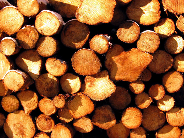 漂亮的一堆木头图片下载