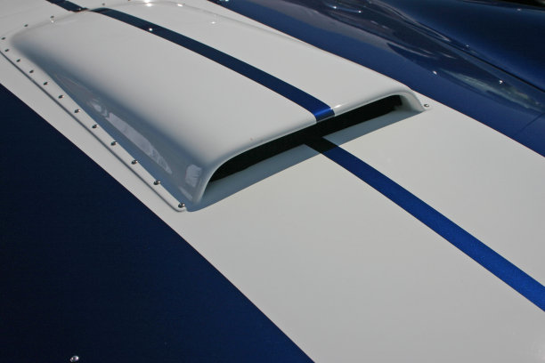 眼镜蛇罩图片下载