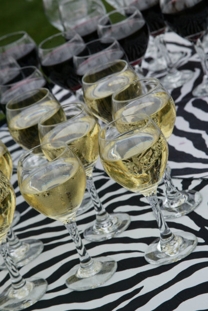 斑马酒图片下载