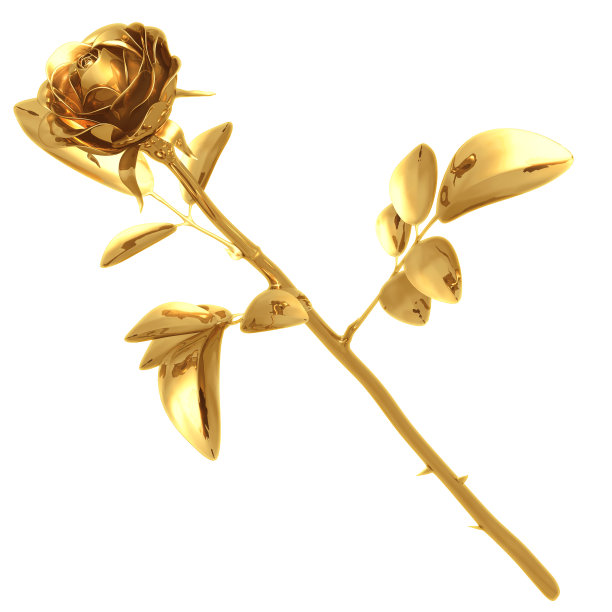 镀金玫瑰01图片下载