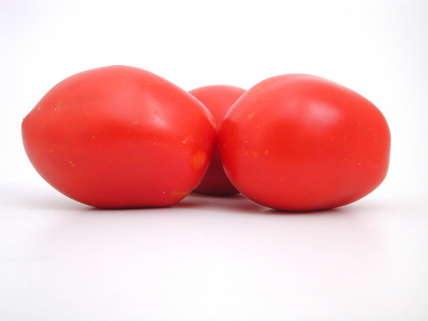 番茄三图片下载
