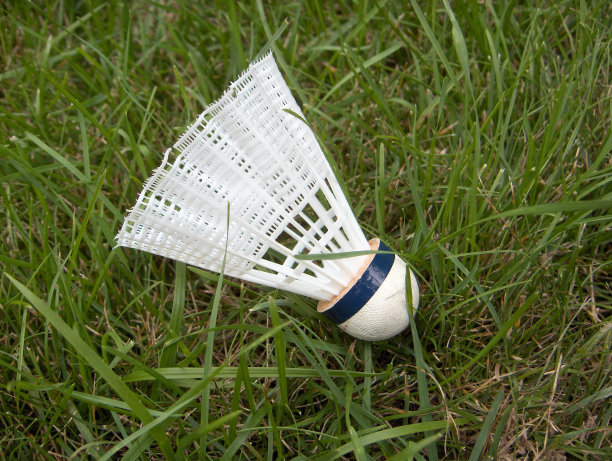 草丛中穿梭公鸡图片下载