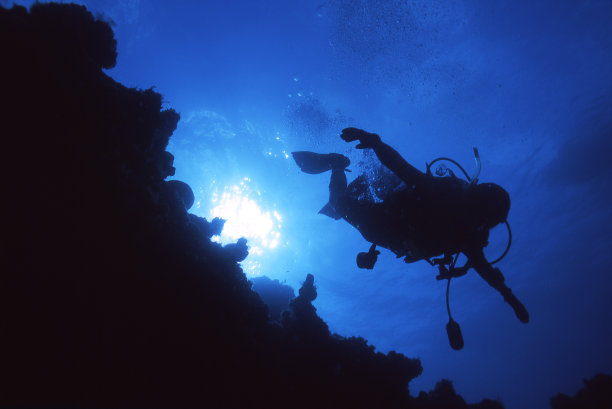 潜水员轮廓# 12图片下载