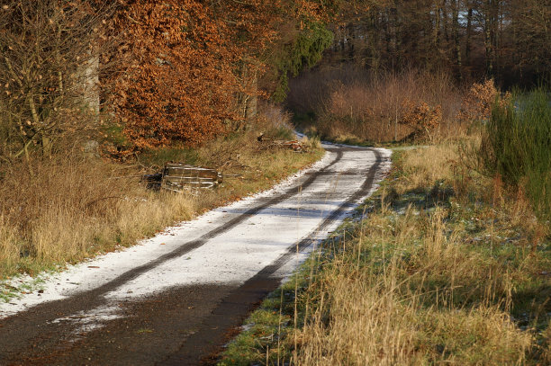 雪地上的足迹图片下载