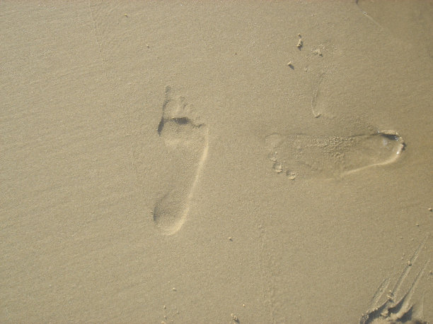 在几秒钟内消失图片下载