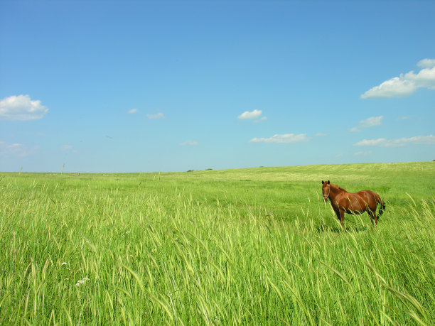 精神的自由图片下载