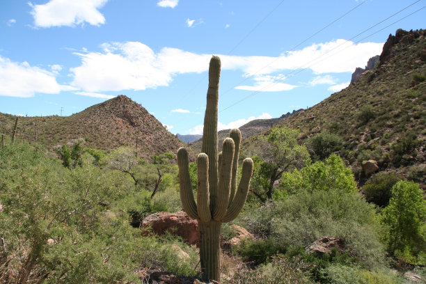 美国沙漠01图片下载