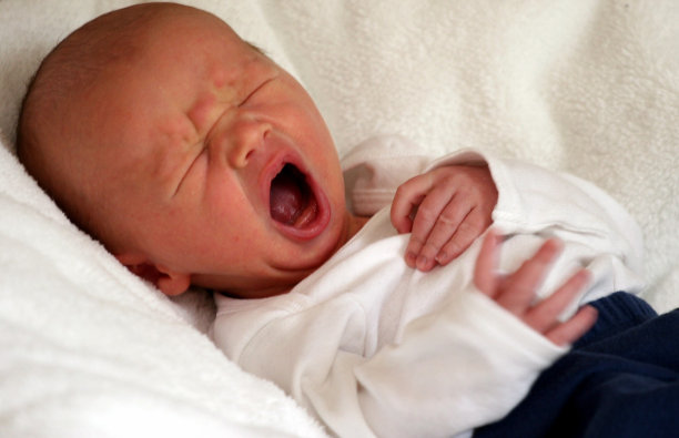 小的头图片下载