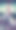 音乐家和狗。图片下载