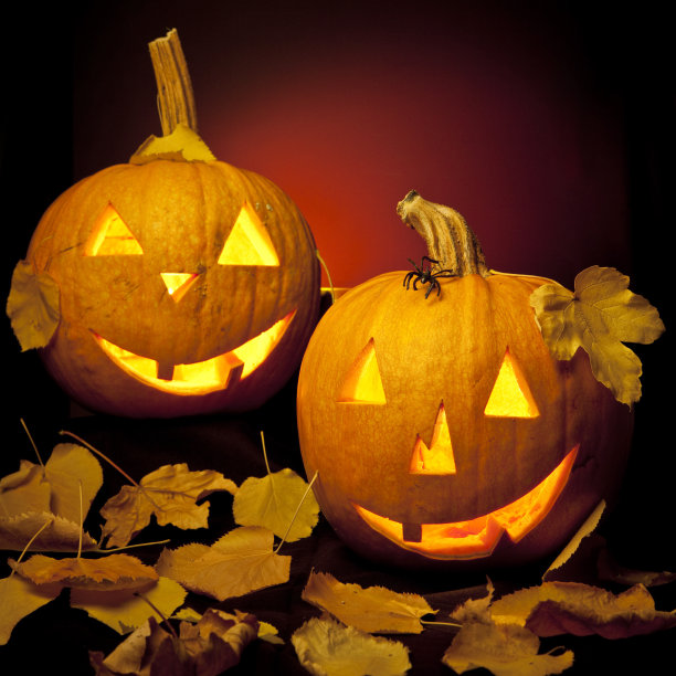 万圣节的南瓜图片下载