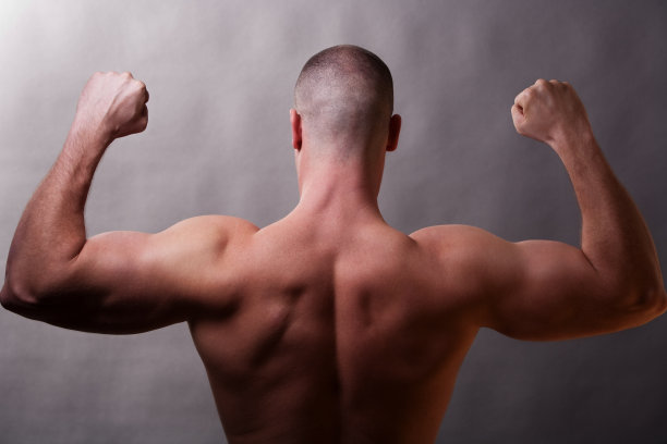 肌肉男的背部图片下载