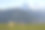 高山草甸图片下载