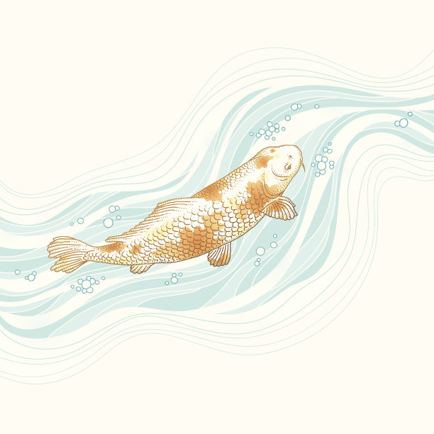 锦鲤鱼游泳图片下载