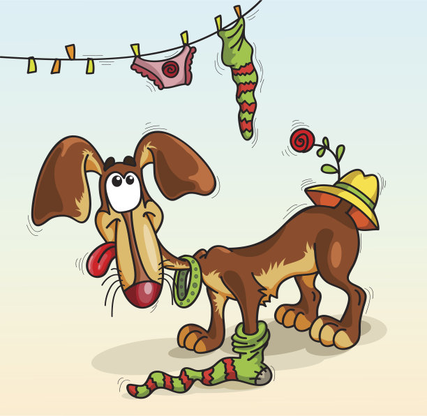 狗在袜子里图片下载