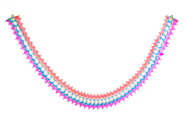 白底花环图片下载