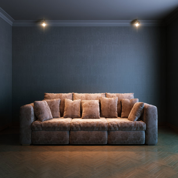 内饰(棕色天鹅绒沙发版)图片下载