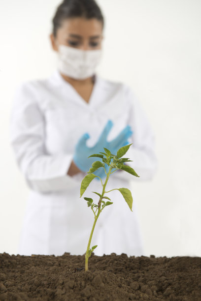 遗传实验室图片下载