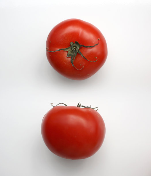 番茄图片下载