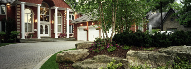 花园在晚上图片下载