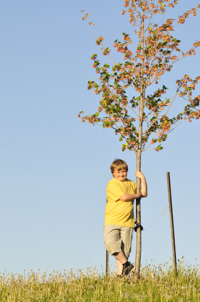 拥抱我的树图片下载