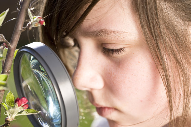 发现系列图片下载