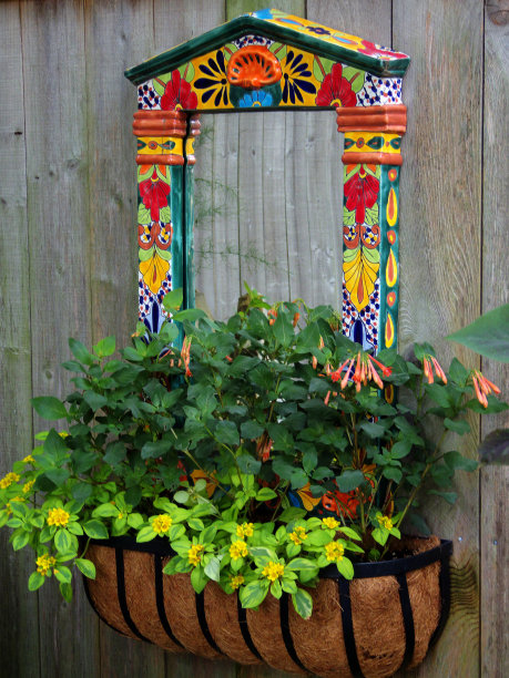 花园的镜子图片下载