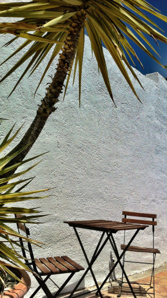 棕榈树下的露天餐桌和椅子图片下载