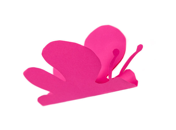 纸蝴蝶图片下载