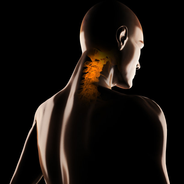 人体摄影扫描图片下载