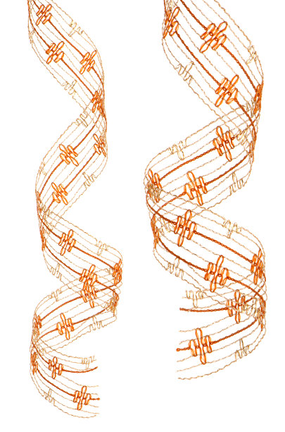 圣诞节丝带挂图片下载