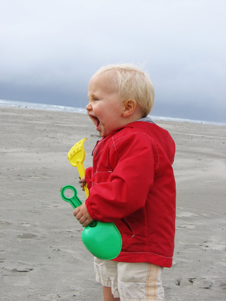 快乐的海滩男孩图片下载