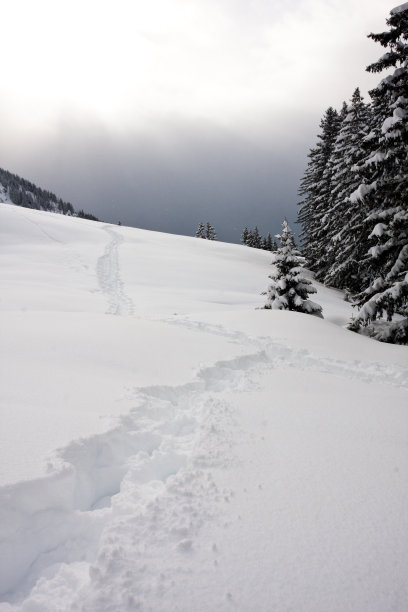 雪鞋小道图片下载