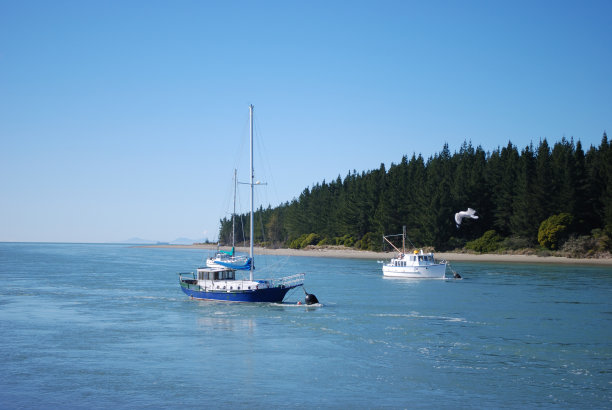 从新西兰纳尔逊的马普亚河口眺望塔斯曼湾图片下载